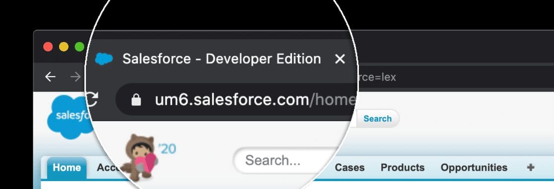 salesforce developer edition